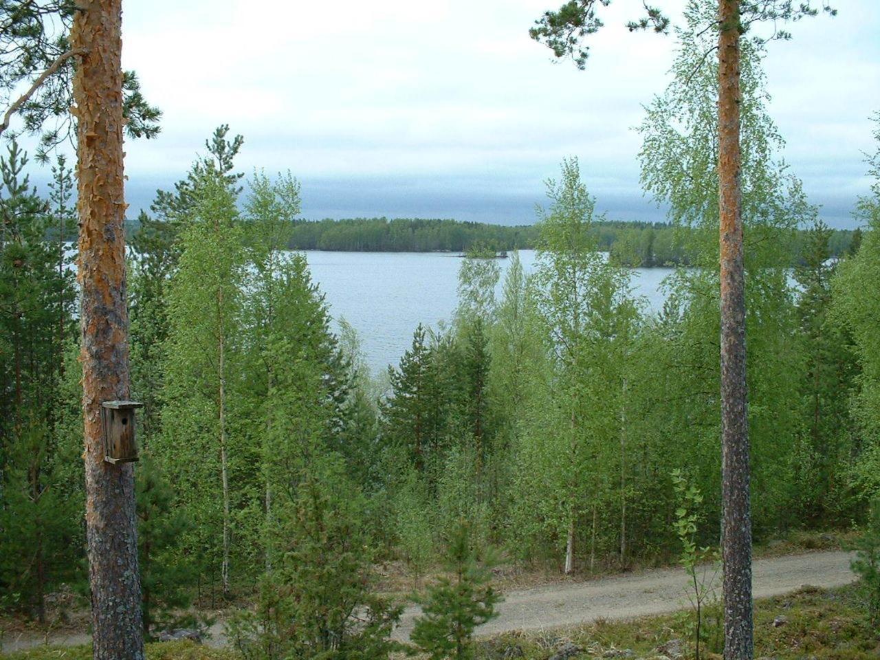 Pitkaeniemen Lomamoekit Joutsa Exterior foto